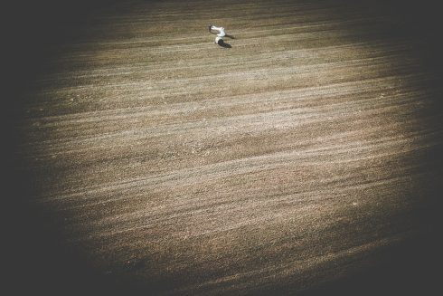 Riprese Drone per Matrimonio riprese video aeree matrimonio
