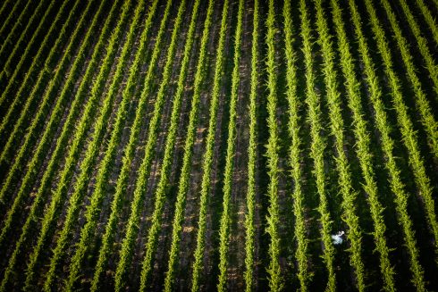 Riprese Drone per Matrimonio riprese video drone matrimonio