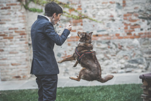 davide di torino foto